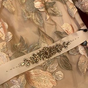 AdriannaPapell pale peach multi taffeta long dress